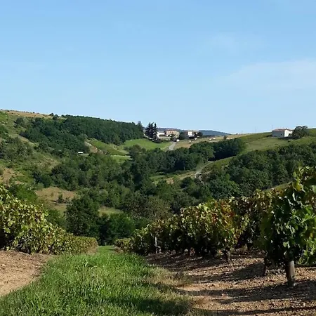 La Maisonnette * Salles-Arbuissonnas-en-Beaujolais